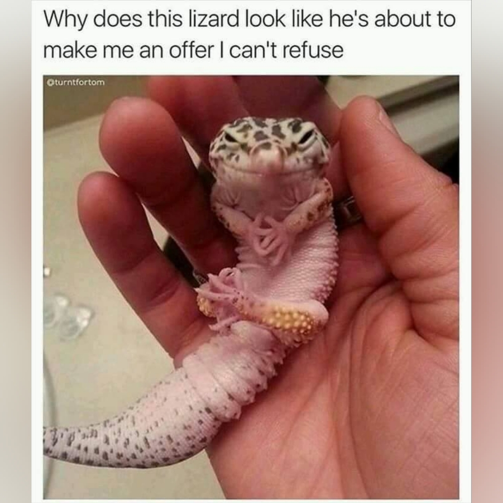 LEAVE A COMMENT IF YOU WANT SHARES!  💞 - Picture 6 of 7